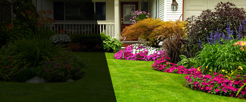 Dahlonega Landscapers