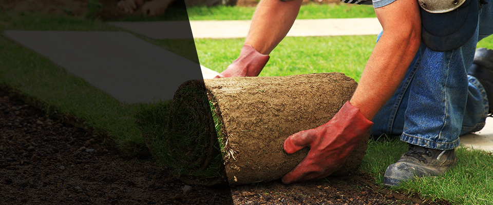 Dahlonega Landscapers
